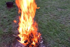 c6b9f2d7-5586-4062-bbda-23fe50bfc330