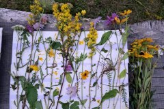 e65591d4-5a42-434b-a108-2d897f439ca9