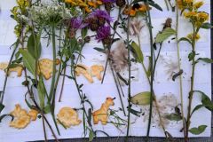 ec17e8fe-ef9d-4032-ba84-feb6ff17ac9f