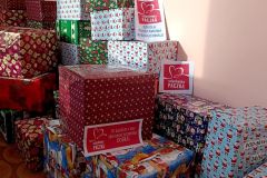 IMG_20221209_100434