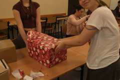 3537292f-2059-4692-94a4-7052763f406a