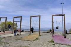 IMG_20260517_120735