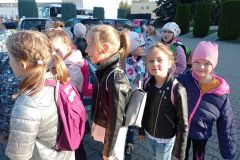 IMG_20221006_082044