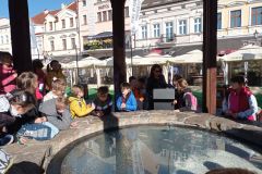 IMG_20221006_100843