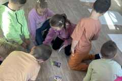 a9de1b5b-f812-43a2-9a1a-8a5c79dcd47b