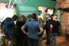 muzeum8