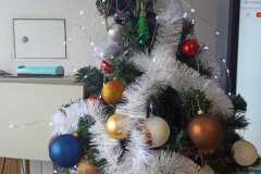WhatsApp-Image-2022-12-22-at-19.24.49