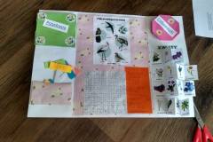 Lapbook-WIOSNA-Maksa-Kutra