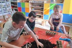 23888c98-6468-4de8-a934-d19bd897d85c