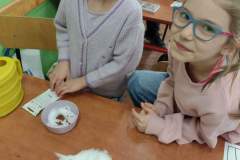 52701ab4-ffe8-46bf-8ad2-c6f91dcd3531