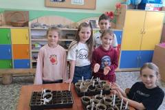 5551db4d-0374-41fa-81b7-4c9221f1b8e4