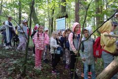 IMG_20230928_094239