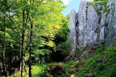 IMG_20230612_103320
