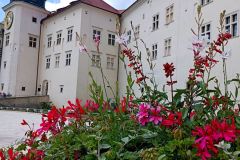 IMG_20230612_122448