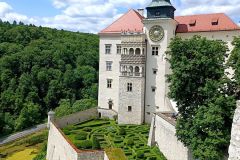 IMG_20230612_125323