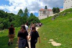 IMG_20230612_131850
