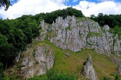 IMG_20230612_152818