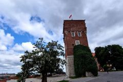 IMG_20230613_100808