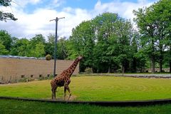 IMG_20230613_144927