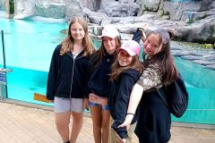 IMG_20230613_150451