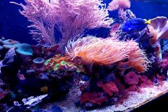 IMG_20230613_152915