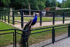 IMG_20230613_161453