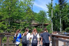 IMG_20240528_105620