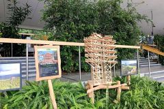 IMG_20240528_143140