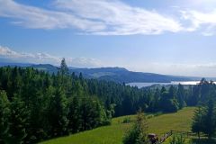 IMG_20240528_174656