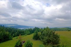 IMG_20240529_084456