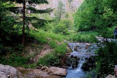 IMG_20240529_151130