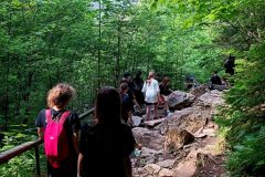 IMG_20240529_154149