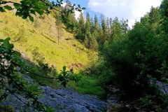 IMG_20240529_155230