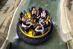 IMG_20250602_125916