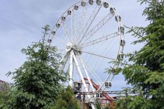 IMG_20250602_144809
