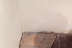 IMG_20220621_101741