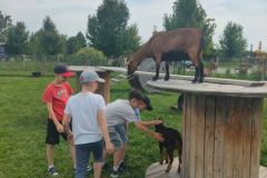 178357b4-d2c3-45e2-9ba3-31b51adeabf5