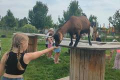 447bb6e7-b7fe-487f-b833-8b2fd60ac956