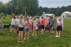 4b5cf043-d182-42e4-a3b1-27e0f16ed1c7