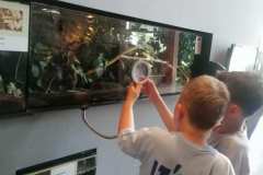 9e93cde4-53cc-4646-acef-019e85373a56