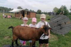 df53483e-5723-4c1b-8236-85331ef450d9