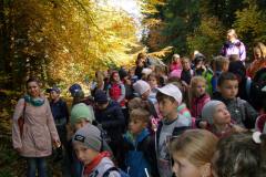 rezerwat7