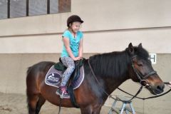 IMG_20210610_103953
