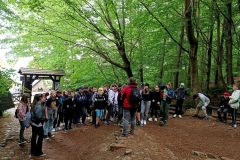 IMG_20220530_122659