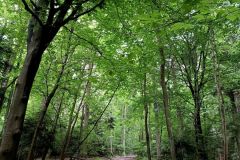 IMG_20220530_123936