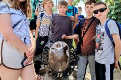 IMG_20220531_113514