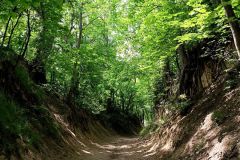 IMG_20220531_121337