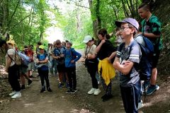 IMG_20220531_121357