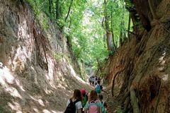 IMG_20220531_123611