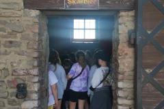 d589da93-1f7b-43a8-b314-7c77445044b2